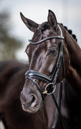 LeMieux Classic Dressage Bridle